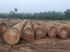Azobe Round Logs