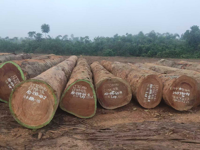 Nhật ký tròn Azobe