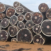 Bilinga Round Logs