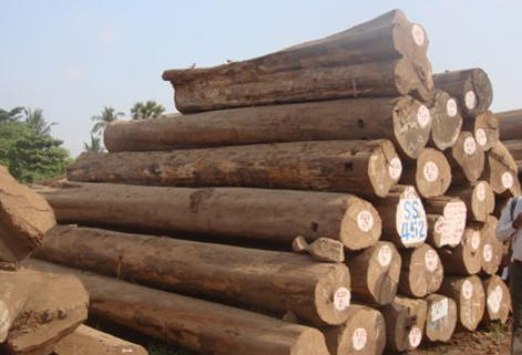 Premium Azobe Round Logs Suppliers China