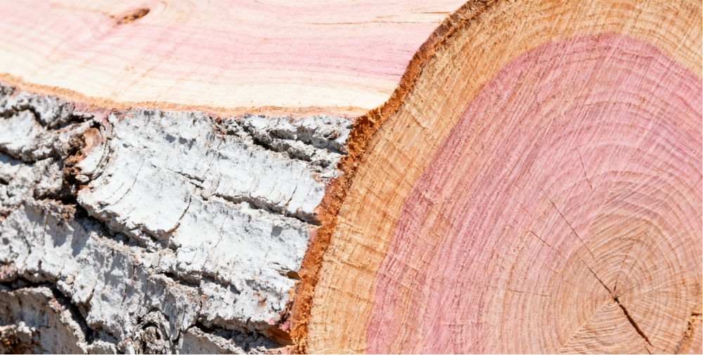 Okoume Wood (2)