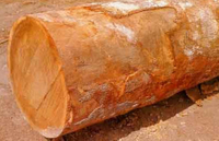 //iprorwxhlpqrlp5p.ldycdn.com/cloud/lkBpiKmiliSRlllrojkjko/Is-Jatoba-A-Good-Wood-for-Fretboards.jpg