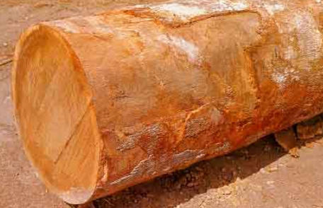 Is Jatoba A Good Wood for Fretboards