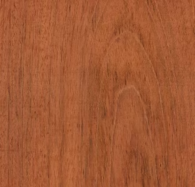 Jatoba