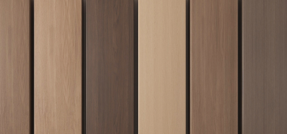 Ecuadorian Saman (3)