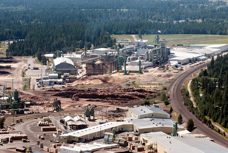 Who Owns Plum Creek Timber Company