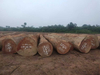 Azobe Round Logs
