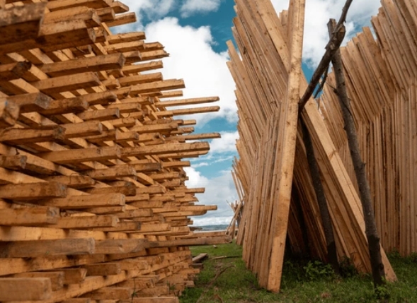 Usines italiennes en bois okoume