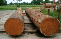 //iprorwxhlpqrlp5p.ldycdn.com/cloud/llBpiKmiliSRjlllkmolkq/Wholesale-Doussie-Wood-Spain.jpg