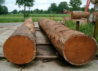 //iprorwxhlpqrlp5p.ldycdn.com/cloud/llBpiKmiliSRjlqqolrokq/Best-Doussie-Wood-Manufacturers-And-Suppliers-in-Italy.jpg