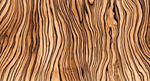 Tips For Painting Zebra Stripes On Wood