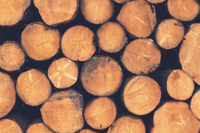 //iprorwxhlpqrlp5p.ldycdn.com/cloud/llBpiKmiliSRkllkinljko/Top-Hardwood-Manufacturers-And-Suppliers-in-Zambia.jpg
