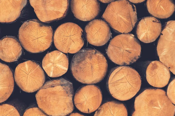 Top Hardwood Manufacturers And Suppliers in Zambia