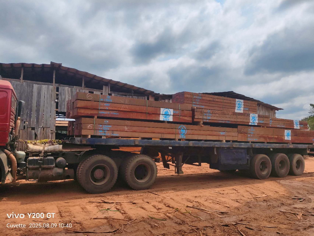 Kossipo Wood (11)
