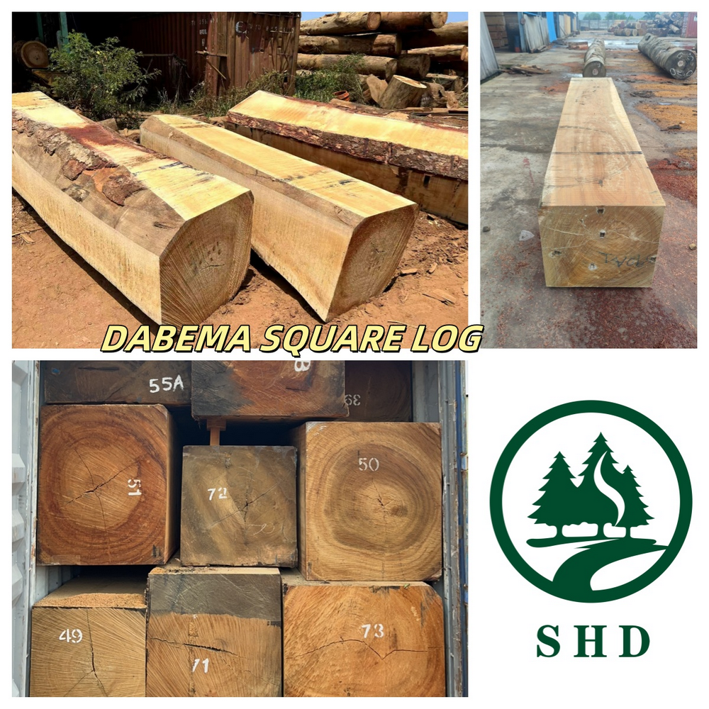 DABEMA Sturdy & Multi-Use African High-Quality Timber (2)