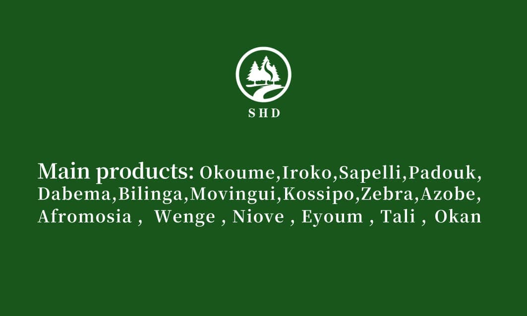 2025 Outlook for African Hardwood Exports to the Middle East (1)