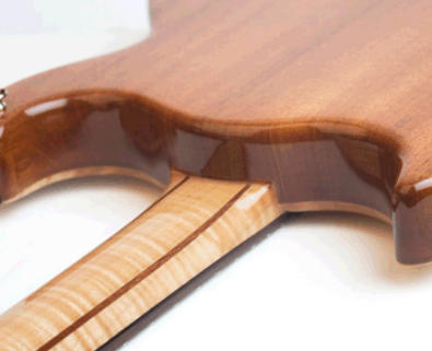 Guitar Neck Durability