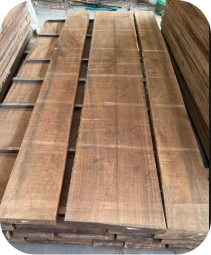 ซามานเอกวาดอร์ (3)