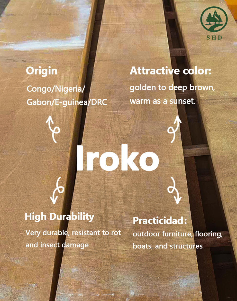 Iroko (3)