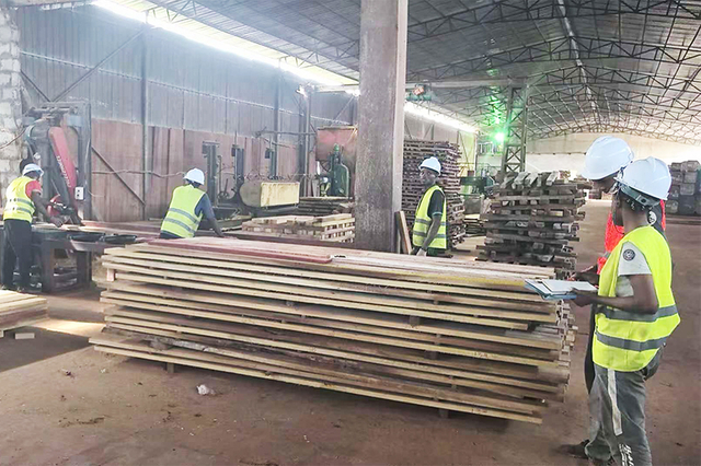 Afrormosia Wood factory