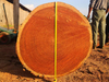 Eyoum Wood