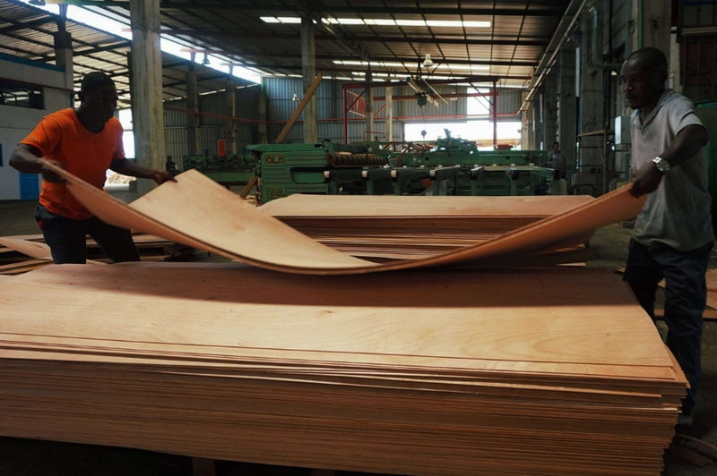 TOP 10 Mussivi Wood Manufacturers in France