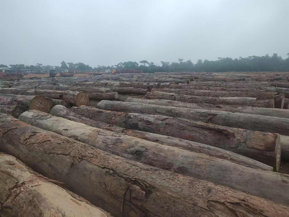 Azobe Round Logs（7）