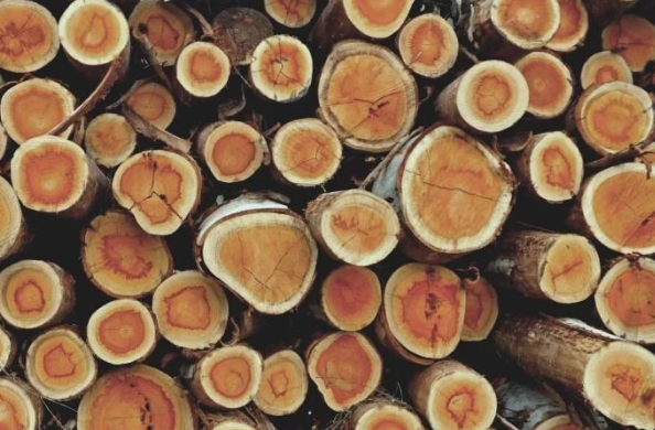Mussivi Wood Furniture Suppliers