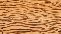 //iprorwxhlpqrlp5p.ldycdn.com/cloud/lmBpiKmiliSRjllpqprpkq/What-Bedding-for-A-Zebra-Wood-Bed.jpg