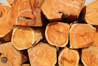 //iprorwxhlpqrlp5p.ldycdn.com/cloud/lmBpiKmiliSRjlqqolirko/Best-Doussie-Wood-Manufacturers-And-Suppliers-in-Russia.jpg