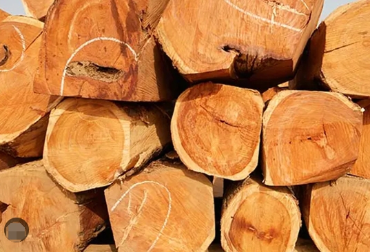 Best Doussie Wood Manufacturers And Suppliers in Russia