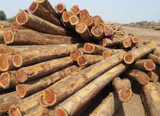 Democratic Republic Of The Congo Wood Manufacturers
