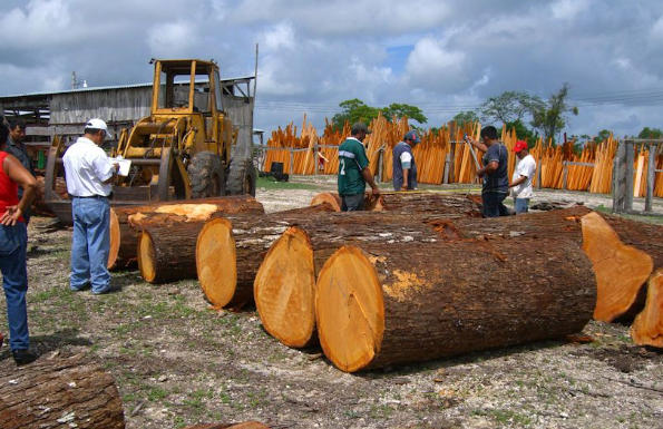 Top 10 Azobe Hardwood Suppliers in China