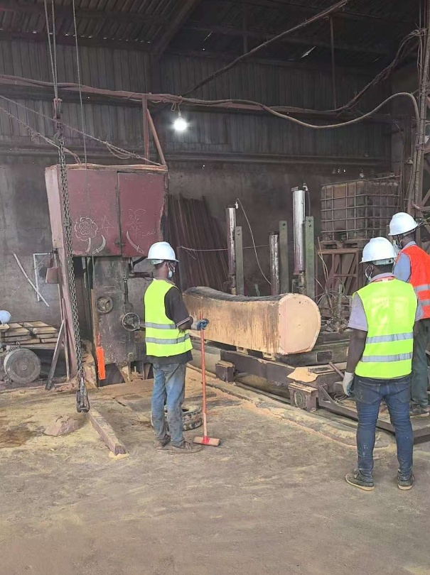 Production Process of a Timber Company