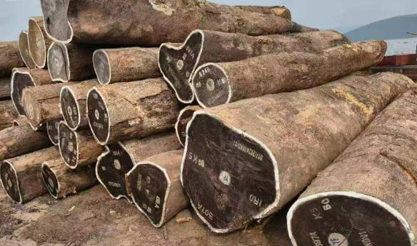 Is Wenge Wood Toxic?