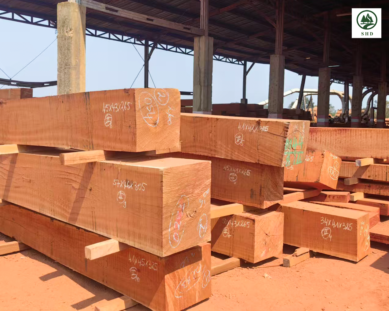 Tropical Timber (2)