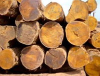 //iprorwxhlpqrlp5p.ldycdn.com/cloud/lmBpiKmiliSRllqljrimko/Top-10-Bilinga-Wood-Suppliers-in-China.jpg