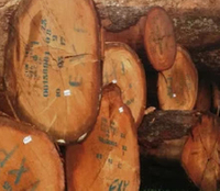 //iprorwxhlpqrlp5p.ldycdn.com/cloud/lmBpiKmiliSRllrlllirkn/Ayous-Wood-Distributors-China.jpg