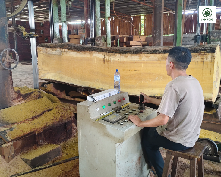 African Hardwood (4)