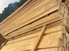 Movingui Wood