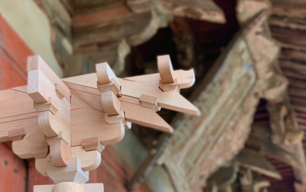 Why Is China Tali Wood Gaining Popularity in The Building Industry?