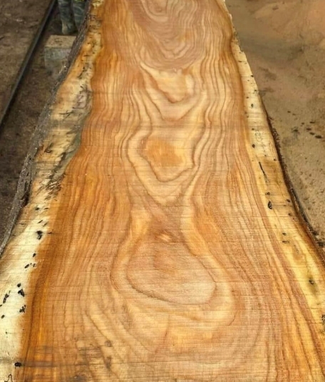 Top Mussivi Wood Suppliers Russia