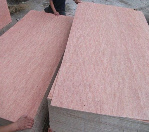 Okoume Wood Suppliers