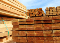 //iprorwxhlpqrlp5p.ldycdn.com/cloud/lnBpiKmiliSRklillqjjko/Top-Hardwood-Manufacturers-And-Suppliers-in-Cameroon.jpg