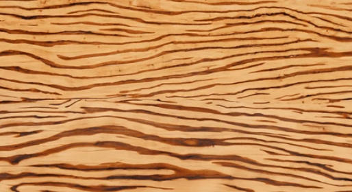 Zebra Stripe Painting Ideas On Wood