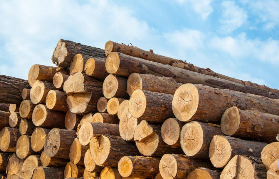 Hardwood Flooring Suppliers Congo Brazzaville