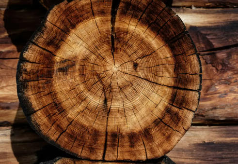 Hardwood Lumber Distributors China
