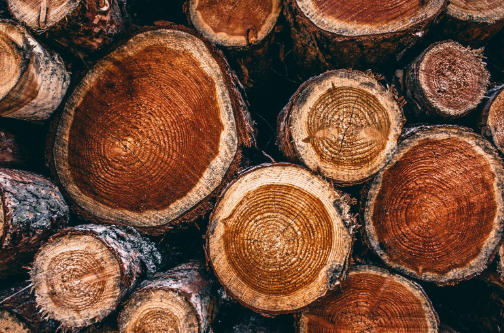 What Is Teak Wood Used For What Is Teak Wood Used For