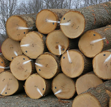 African Wood Export Market African Wood Export Market