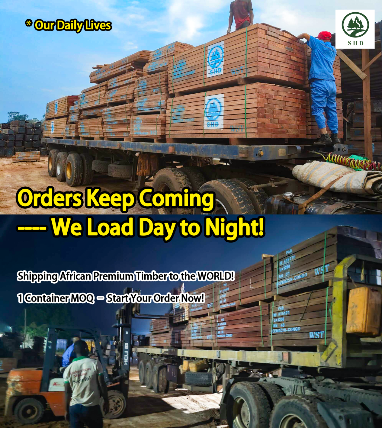 SENHEDA WOOD Secures Your Supply & Wins Markets (3)